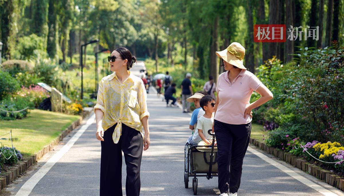 网上网投正规真人在线实体靠谱平台